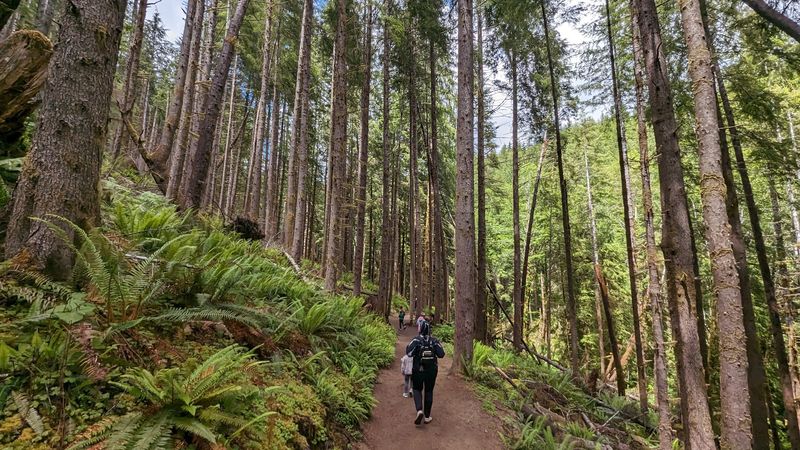 What to Pack for a Smooth Hike