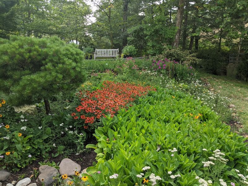 Spring Wildflowers That Turn the Trails Into a Living Painting