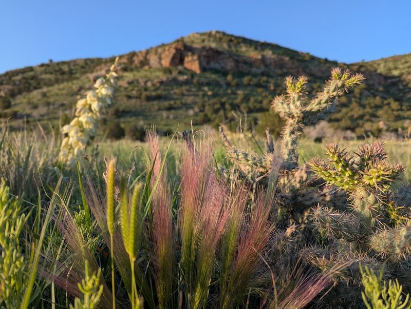 Black Mesa and the Magic of Oklahoma's Highest Point