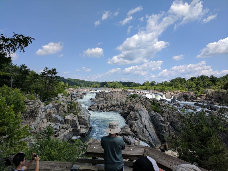 Birdwatching at the Park: A Feathered Cast of Characters