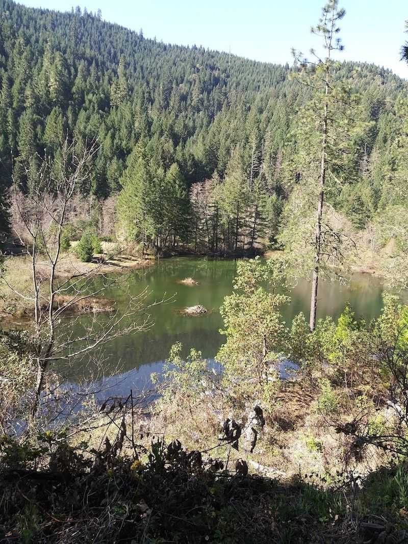 Coyote Creek and the Natural Setting