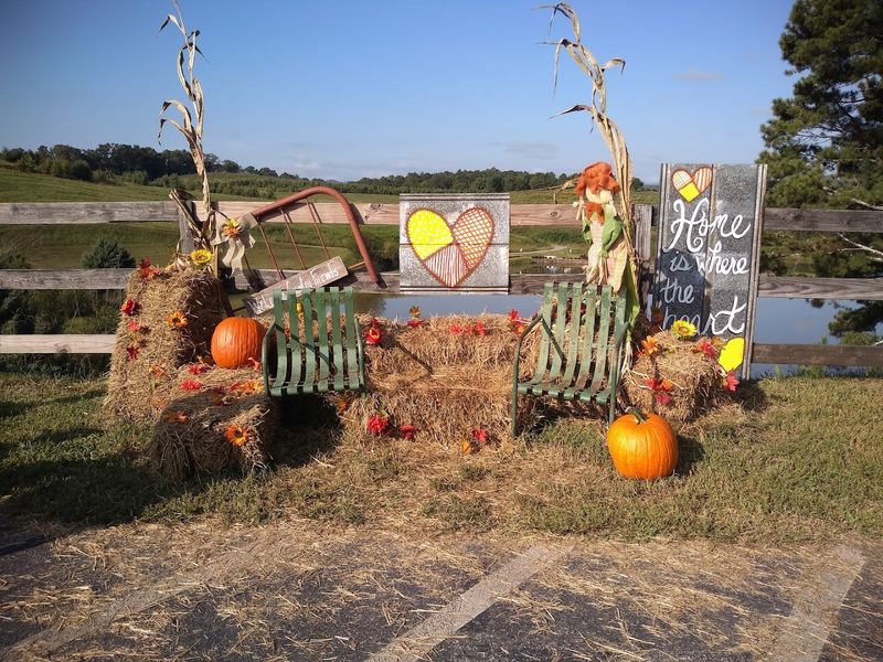 Why A Quick Visit Can Turn Into Half A Day