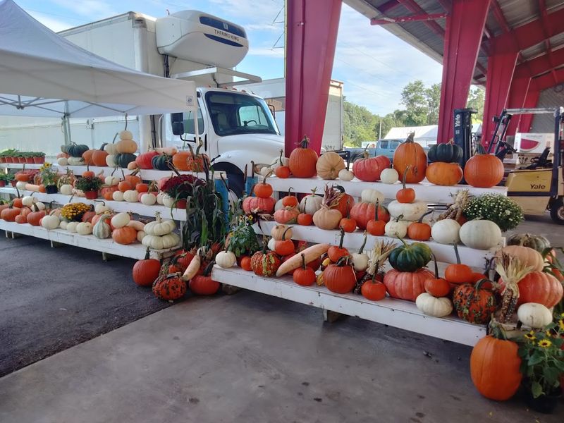 The North Carolina Stop That Can Hijack Your Afternoon