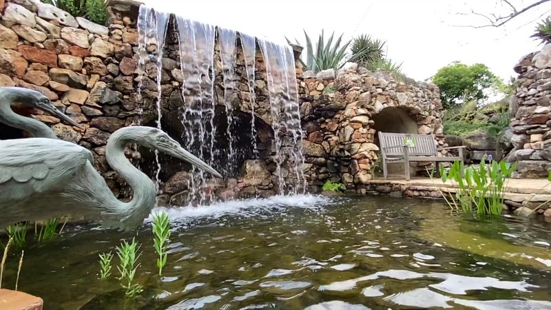 Seasonal Events and Special Exhibits