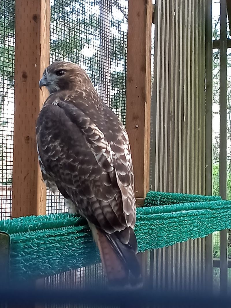 A Gift Shop That Actually Supports the Mission