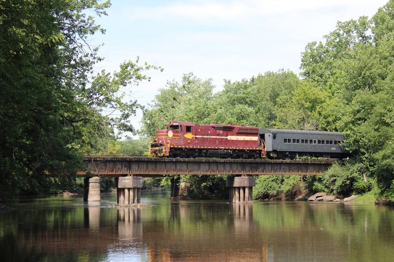 Spring Wildflowers Turn the Route Into a Living Nature Trail