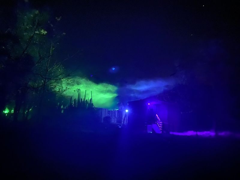 The Shadowy Wooded Trail That Swallows You Whole