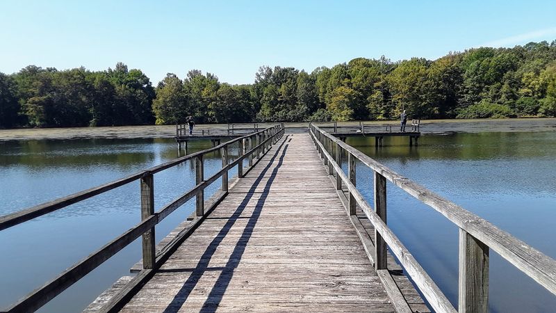 Camping at Sardis Lake and Why It Draws Repeat Visitors