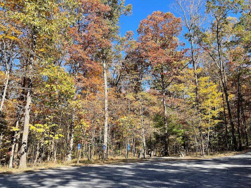 Getting There: The Curvy Road Adventure