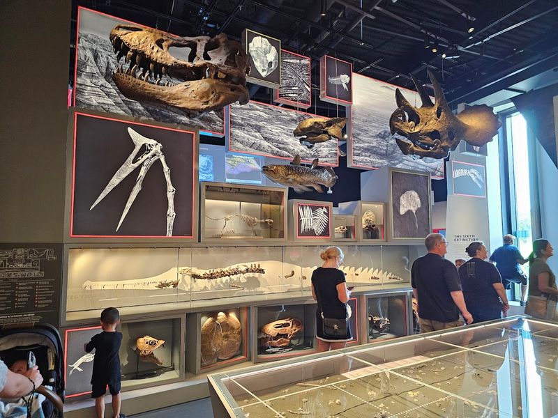 The Science Behind the Site: 100,000 Fossils and Counting