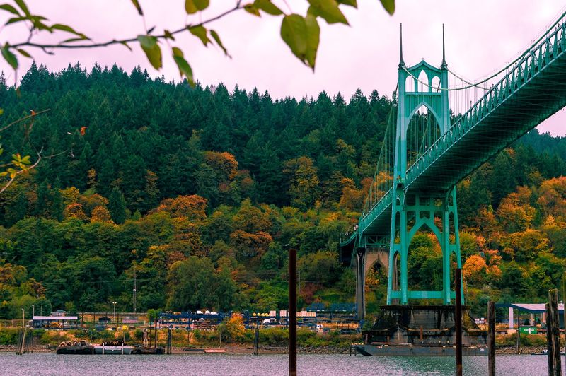 Seasonal Changes That Make Every Visit Different