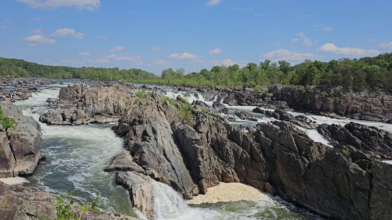 The Great Falls Overlooks: Where the Potomac Goes Absolutely Wild