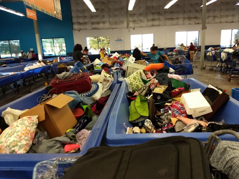 What You Can Actually Find in the Bins