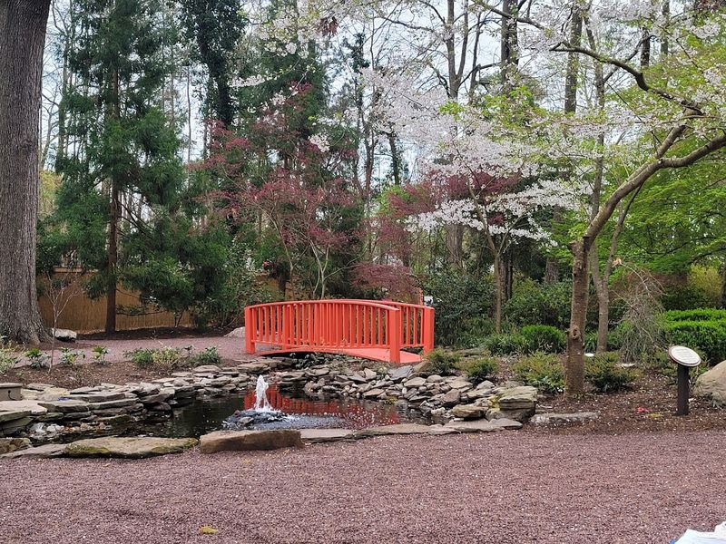 The Sister City Story That Makes This Garden Mean Something Deeper