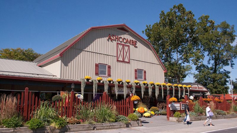 A First Look That Feels Bigger Than A Garden Stop