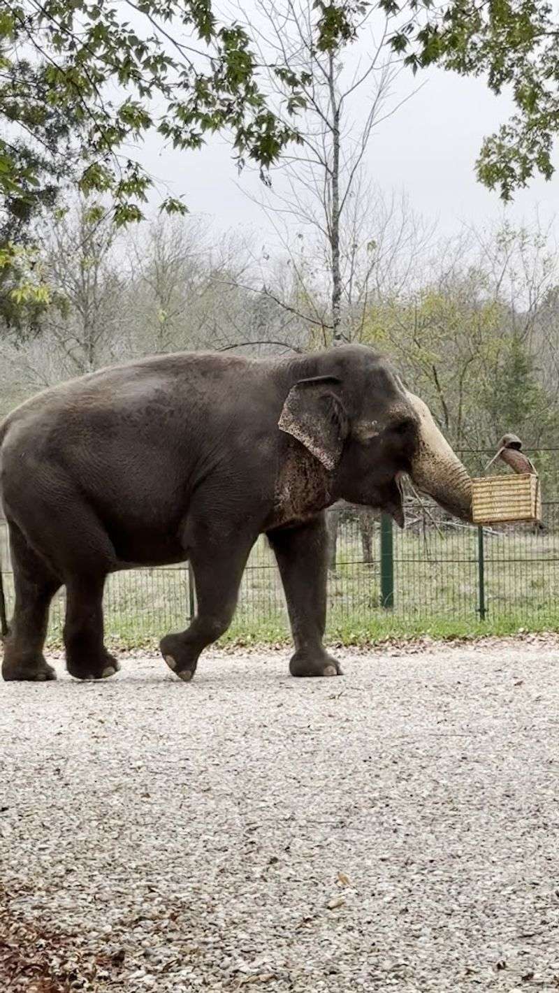 Why Oklahoma Awesome Adventures Stays With You Long After You Leave