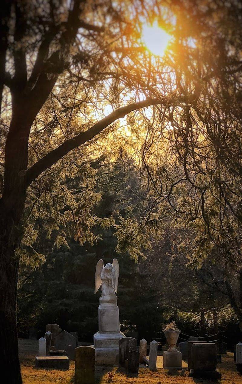 The Hearse House and Caretakers Museum: A Glimpse Behind the Curtain