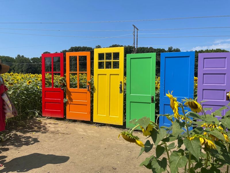 Maple Syrup Season: A Sweet Behind-the-Scenes Look at the Farm