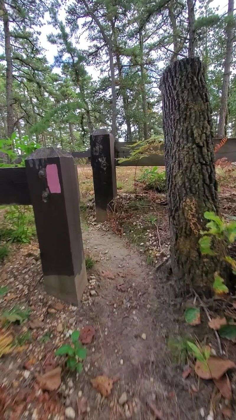 The Carranza Memorial: A Trailhead With a Story