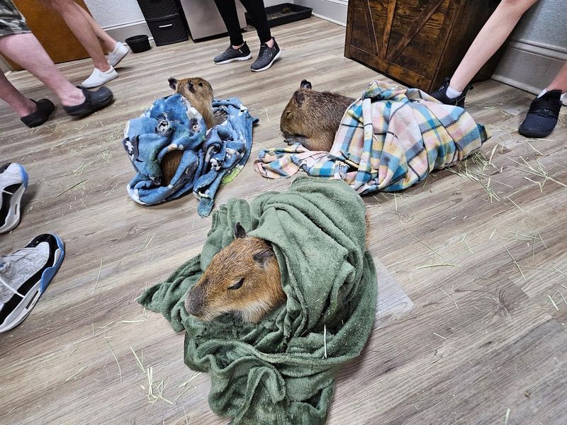 What The Name Gets Wrong And What The Place Actually Offers