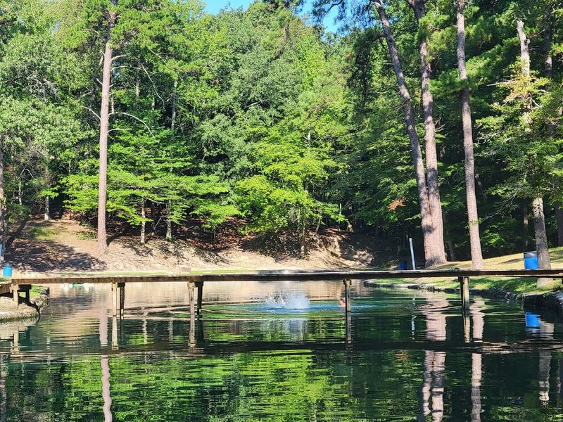 The Laid-Back Atmosphere