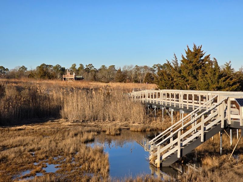 The Boardwalk Over the Salt Marsh With Atlantic City Views