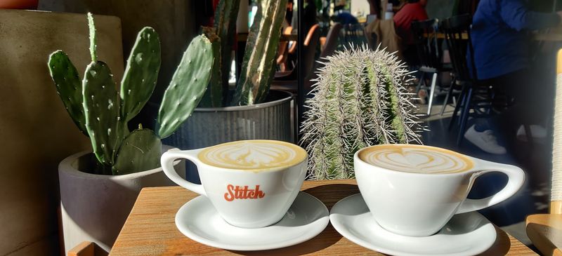 Coffee Worth Pairing With Your New Leafy Friend