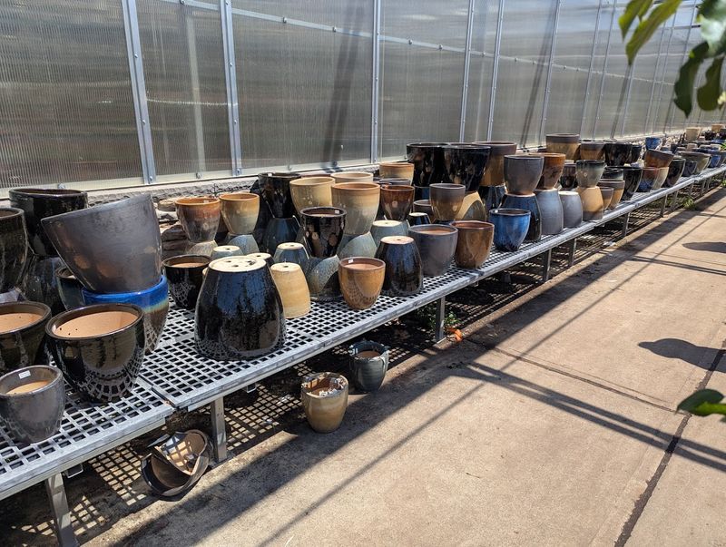 Gardening Supplies: More Than Just Plants