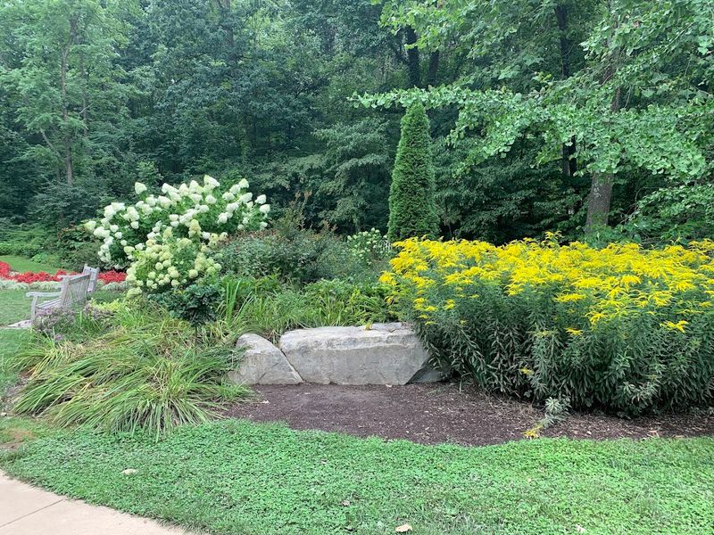 The Terraced Herb Garden: Fragrant, Functional, and Totally Charming