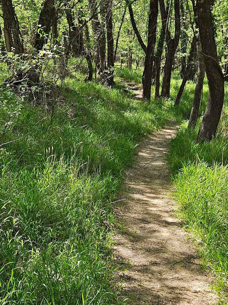 Poems Along the Path Make the Walk Feel Like Literature
