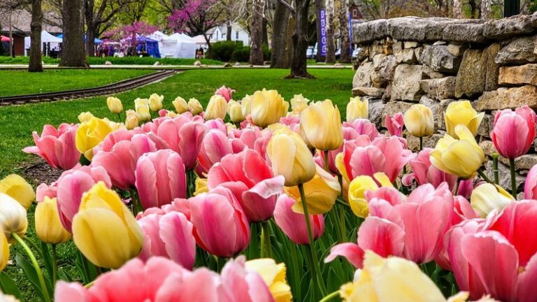 Eastern Kansas Springtime The Prairie Town In Kansas That Surprises Visitors Every Spring