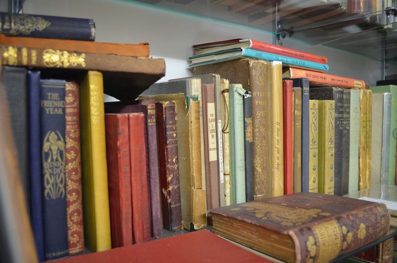 Rare and Unusual Finds: The Thrill of the Unexpected Discovery