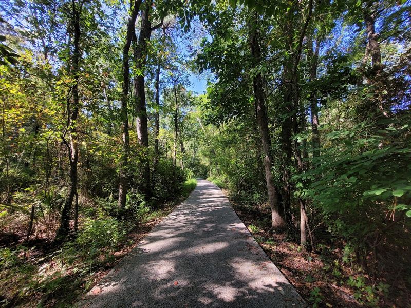 Dog-Friendly From Start to Finish