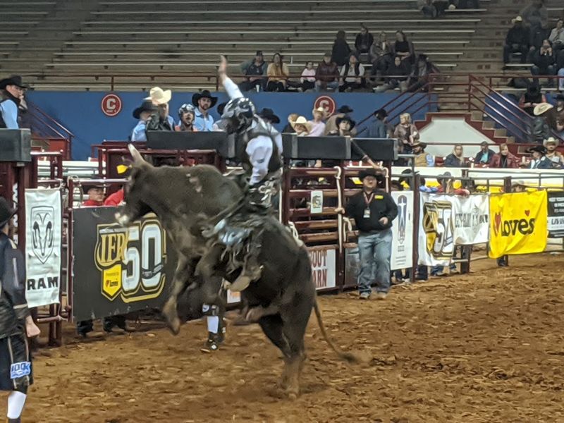 The Crowd Energy At Rodeo Events Is Completely Contagious