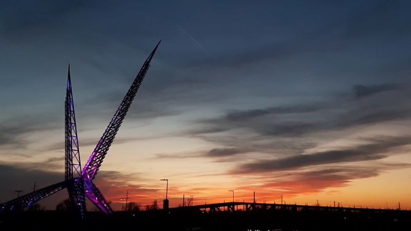 The Bird-Shaped Bridge Nobody Expected