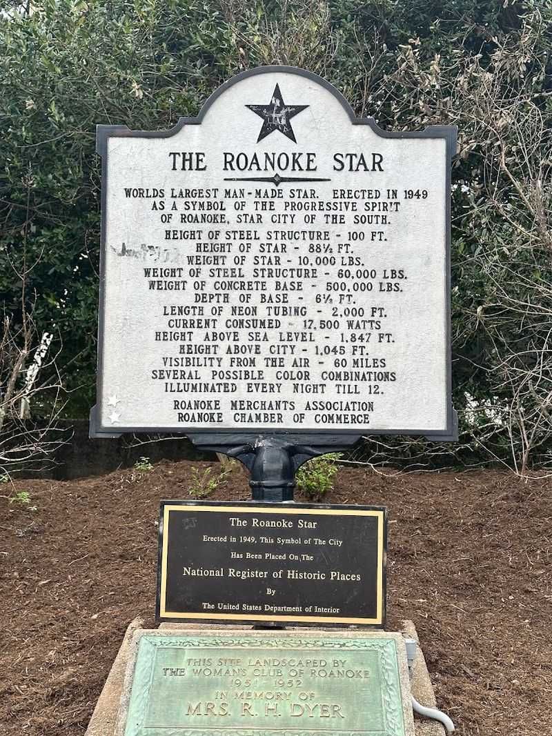 A Glowing History Built on Neon and Community Pride