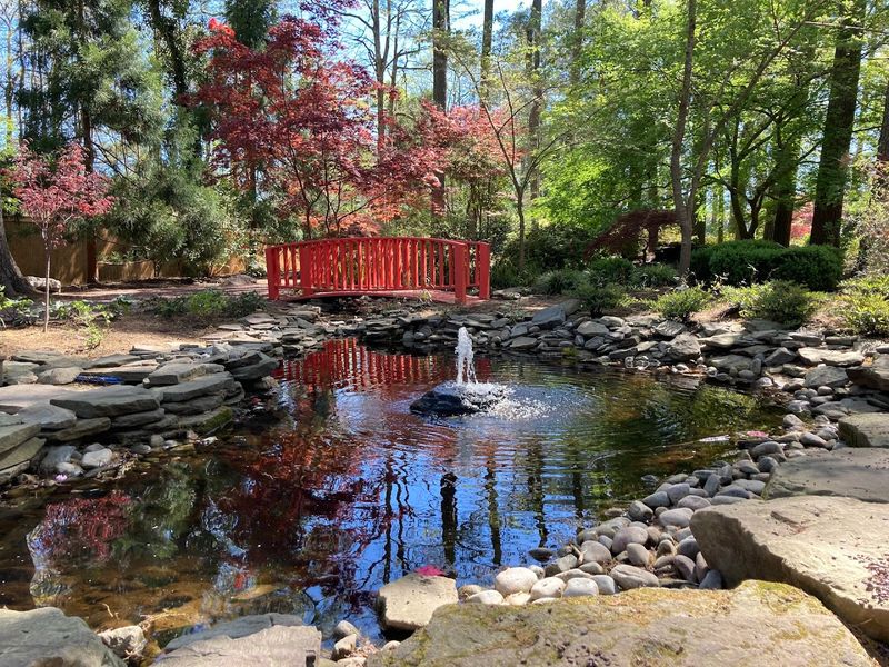 Koi Ponds That Make Every Worry Feel Temporary