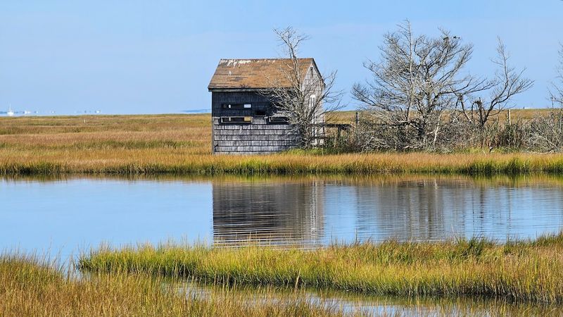 The Trail That Quietly Earns Your Full Attention