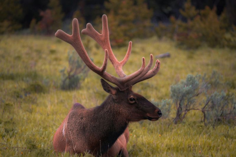 The Nonresident Start Date That Waits Until May 8 At 6 AM