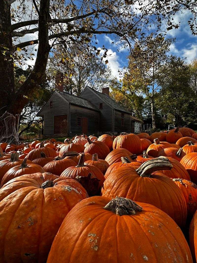 Visiting the Frazee House Today and Why It Deserves Your Attention