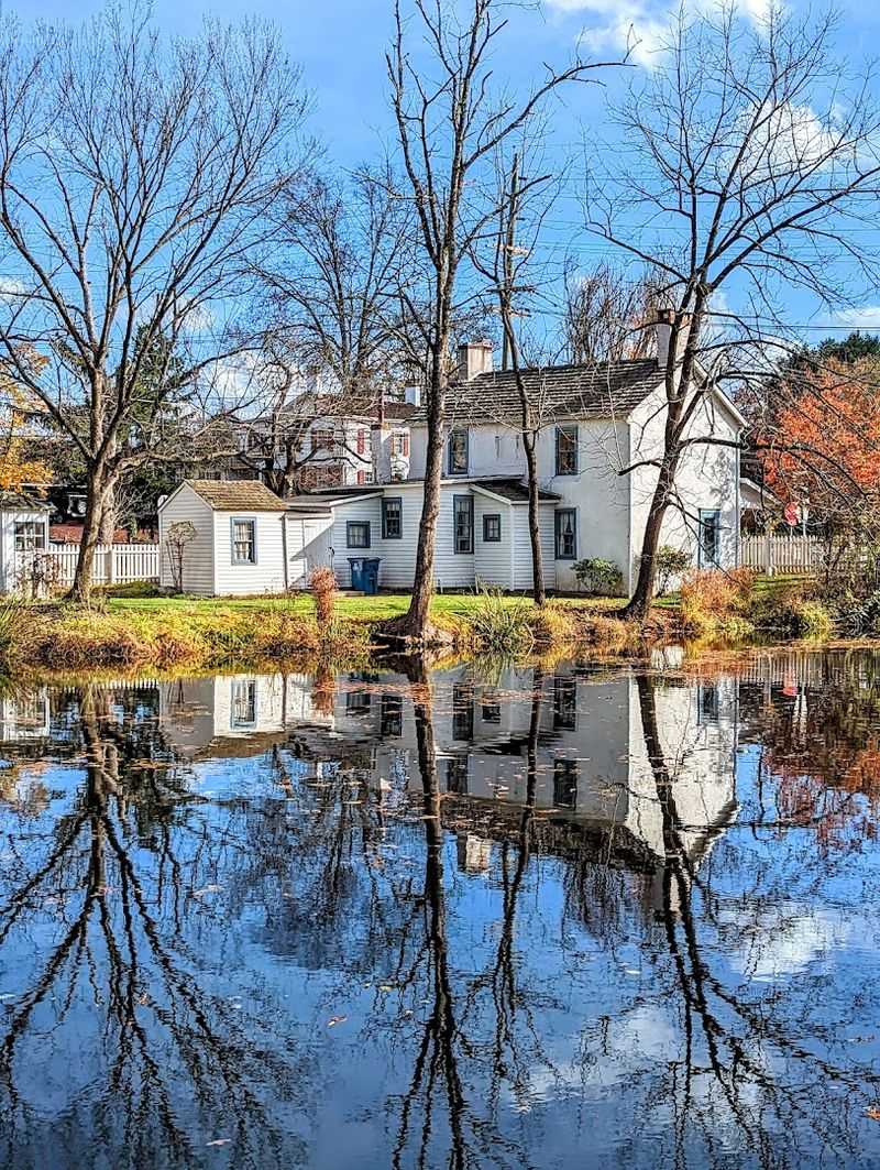 Educational Events That Bring History to Life