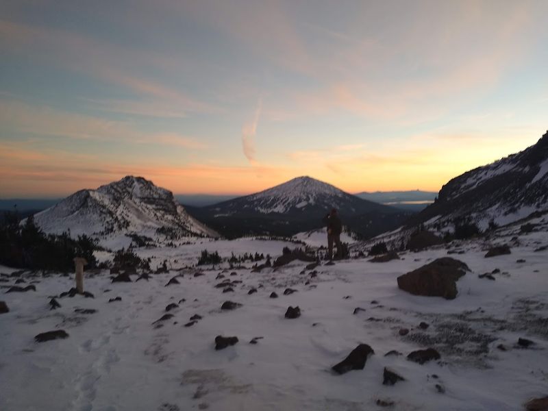 Wildflowers and Wildlife: What the Seasons Bring