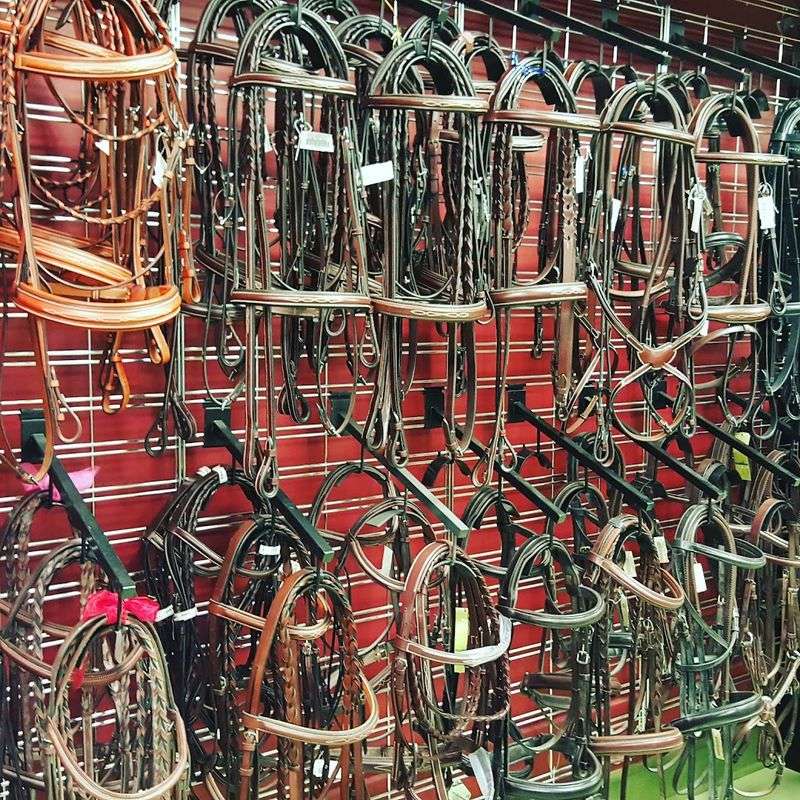 Tack That Would Make Any Serious Rider Smile