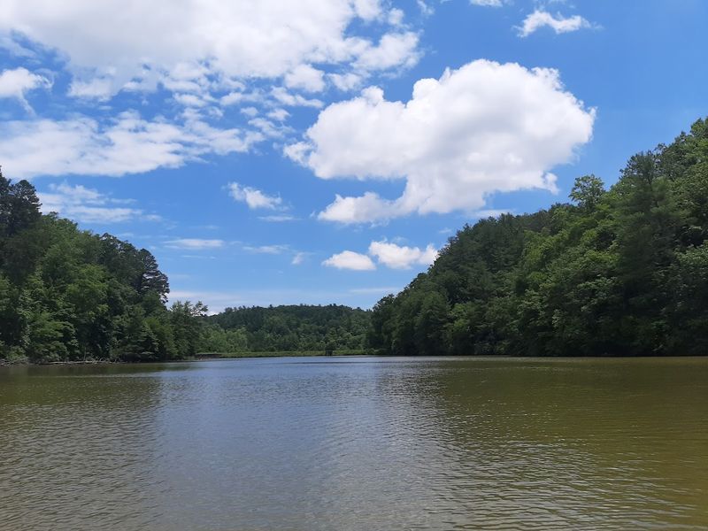 How a Newspaper Publisher Turned a Ghost Town Into a State Park