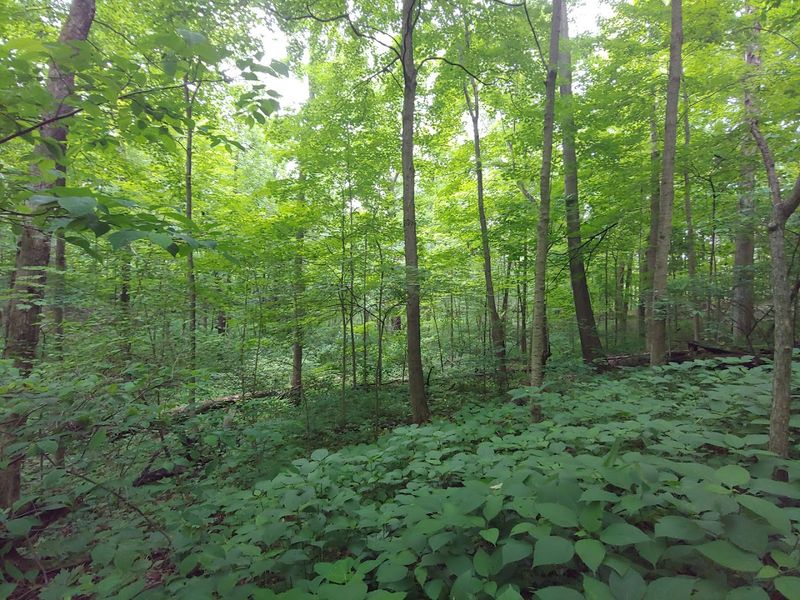 A Deep and Powerful Connection to the Underground Railroad