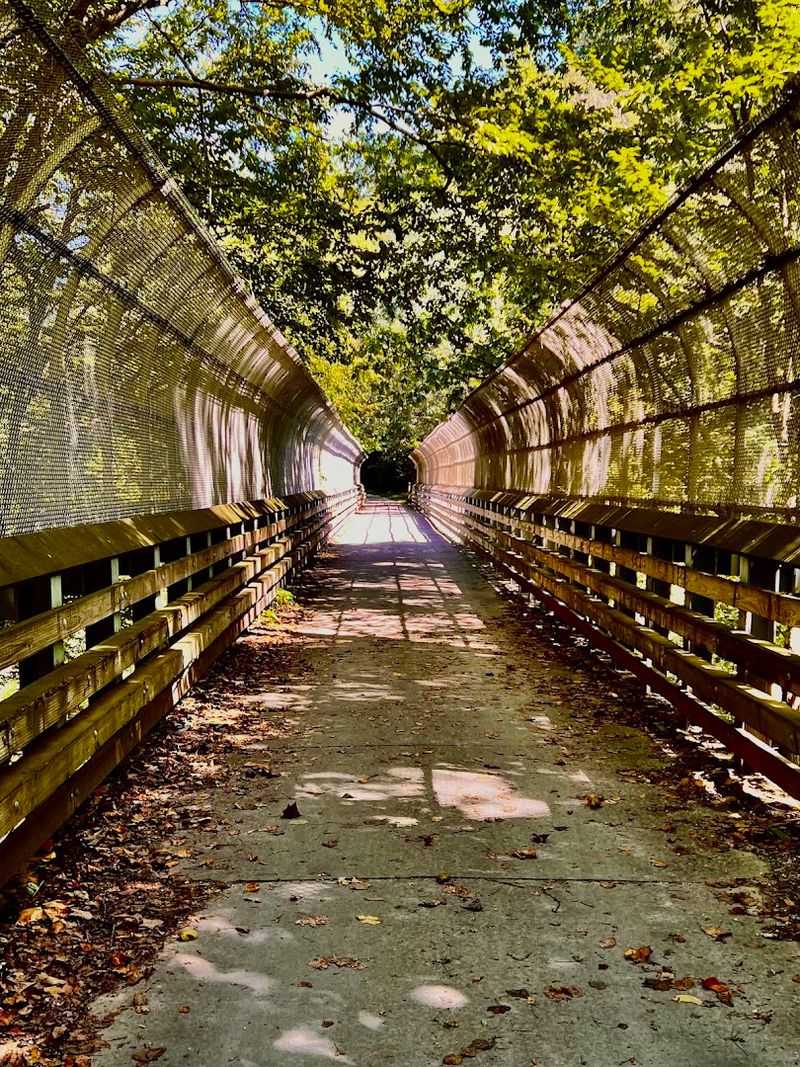 Seasonal Beauty That Changes the Gorge Completely Each Visit