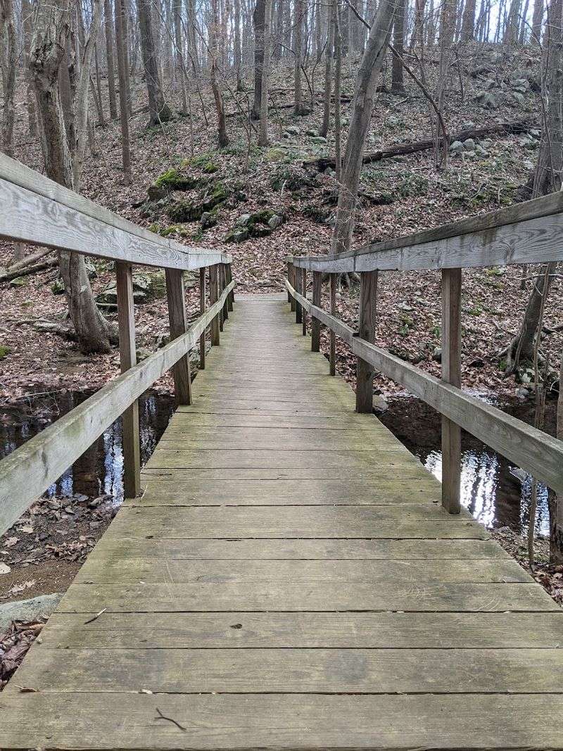 White Trail: The Loop That Rewards Your Legs