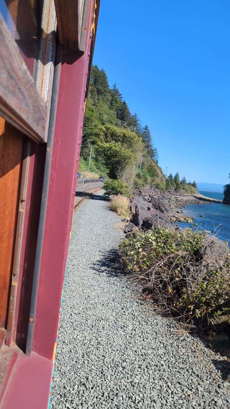 Wildlife Spotting Along the Rail Route