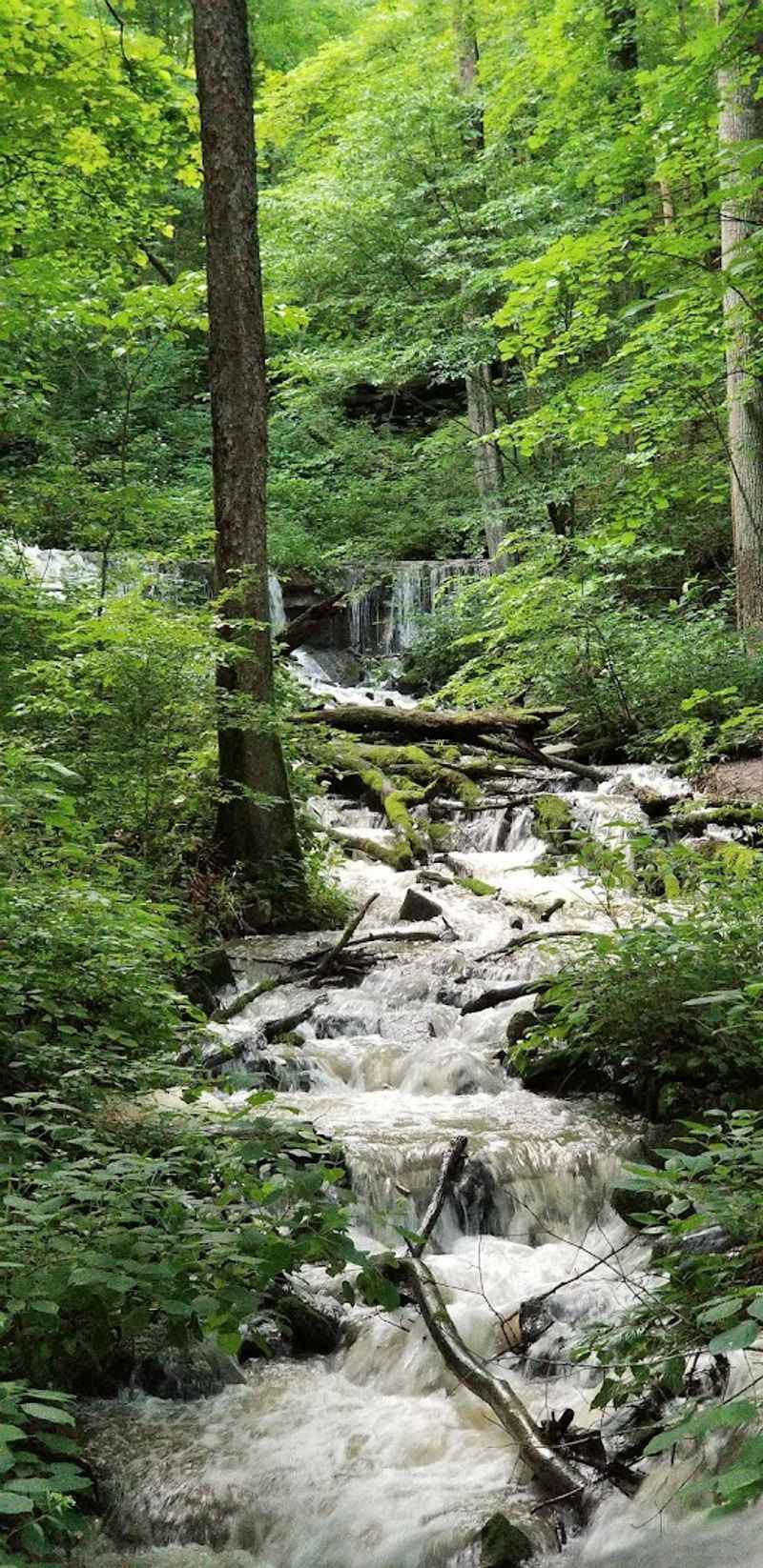 Leonard Spring and Shirley Spring, Where Bloomington Once Got Its Water