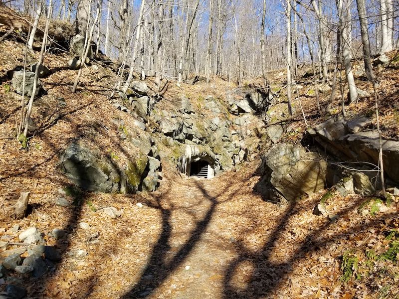 The Hibernia Mine Bat Hibernaculum: Heart of the Sanctuary